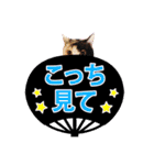 ヲタクな文鳥と恋する乙女たち（個別スタンプ：37）