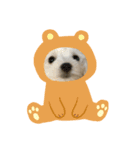 マルチワのルクちゃん（個別スタンプ：5）