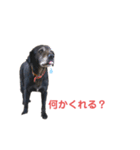 まるべん（個別スタンプ：2）