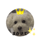 Ron ＆ Maple（個別スタンプ：13）