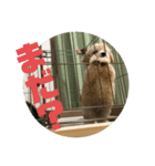 名犬〜福〜（個別スタンプ：4）