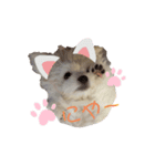 マルチワのルクちゃんpart2（個別スタンプ：6）