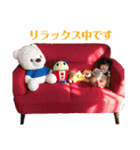 詩暖のスタンプ（個別スタンプ：20）