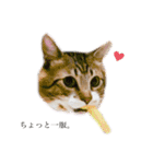 いつもりょうくん（個別スタンプ：3）