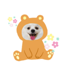 虎ノ助（個別スタンプ：3）