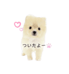 虎ノ助（個別スタンプ：8）