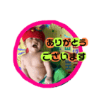 たいちゃんおうちゃん★3 はらぺこver.（個別スタンプ：12）