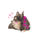 チワワのほんね（個別スタンプ：8）