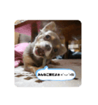 チョビくん（個別スタンプ：7）