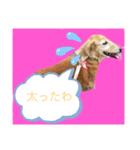 まゆかれんスタンプ（個別スタンプ：2）