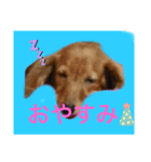 まゆかれんスタンプ（個別スタンプ：4）