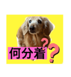 まゆかれんスタンプ（個別スタンプ：6）