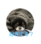 ぷっこま劇場（個別スタンプ：5）