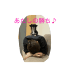 ぷっこま劇場（個別スタンプ：7）