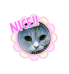 しずくねこ④（個別スタンプ：2）