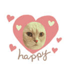 しずくねこ④（個別スタンプ：7）