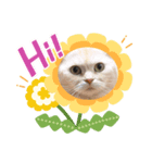 しずくねこ③（個別スタンプ：5）