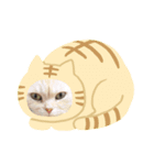 しずくねこ③（個別スタンプ：6）