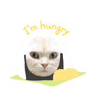 しずくねこ③（個別スタンプ：7）
