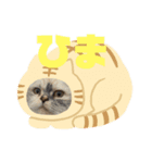 まるとるい（個別スタンプ：2）