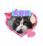 まるとるい（個別スタンプ：3）