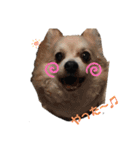 おっきとこっころ（個別スタンプ：3）