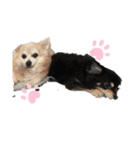 おっきとこっころ（個別スタンプ：5）