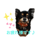 おっきとこっころ（個別スタンプ：18）
