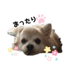 おっきとこっころ（個別スタンプ：24）
