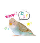 家のセキセイインコ達①（個別スタンプ：7）