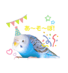 家のセキセイインコ達①（個別スタンプ：8）