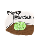 床の状況を教えるスタンプ（個別スタンプ：1）