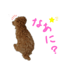 ティナのスタンプ5（個別スタンプ：1）