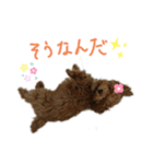 ティナのスタンプ5（個別スタンプ：2）