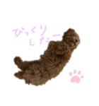 ティナのスタンプ5（個別スタンプ：5）