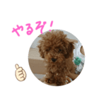 ティナのスタンプ5（個別スタンプ：7）