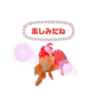 ベニシロ.Part4（個別スタンプ：10）