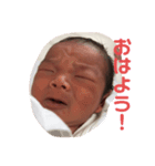 本田華babyスタンプ（個別スタンプ：1）