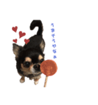 ガンコとアラコ❤️（個別スタンプ：1）