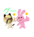 オカメインコの家族（個別スタンプ：5）