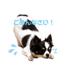 小林animals vol.1（個別スタンプ：2）