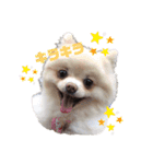 小林animals vol.1（個別スタンプ：9）