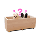 小林animals vol.1（個別スタンプ：11）
