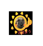 大型犬の子供（個別スタンプ：14）
