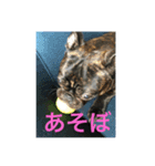 てつの日常生活（個別スタンプ：1）
