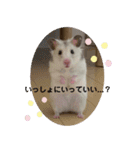 もこももファミリー（個別スタンプ：1）