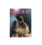 てつの日常生活3（個別スタンプ：2）