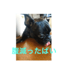 てつの日常生活3（個別スタンプ：3）