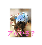 てつの日常生活3（個別スタンプ：4）