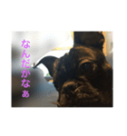 てつの日常生活3（個別スタンプ：6）